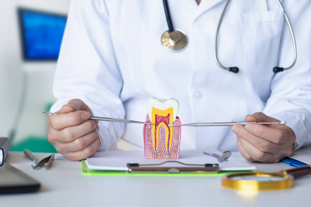 Best Emergency Root Canal Treatment in Grand Marais, MN
